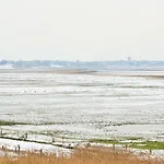 Fesker-5